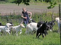 Puppys van Bliss040622-0178